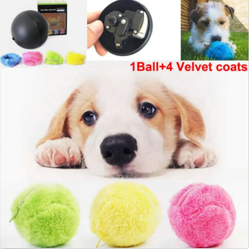 

Magic Roller Ball Dog Cat Amusing Toy Activation Automatic Ball Chew Plush Ball