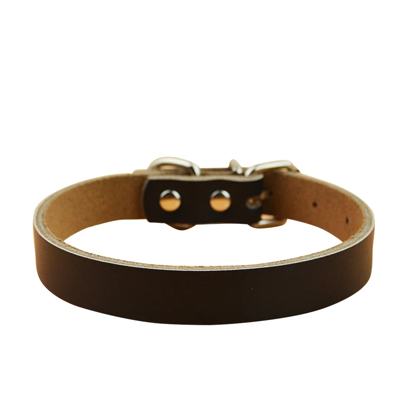 Лидер продаж персонализированный ошейник для домашних животных XS/S/M маленьких и