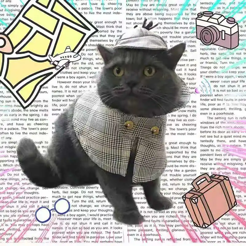 Детектива Пикачу косплей домашних животных костюмы кошка собака шапка для