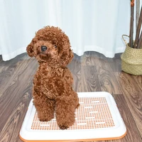 portable dog training toilet potty pet puppy litter toilet tray pad mat for dog cat indoor lattice pet potty bedpan pet supplies