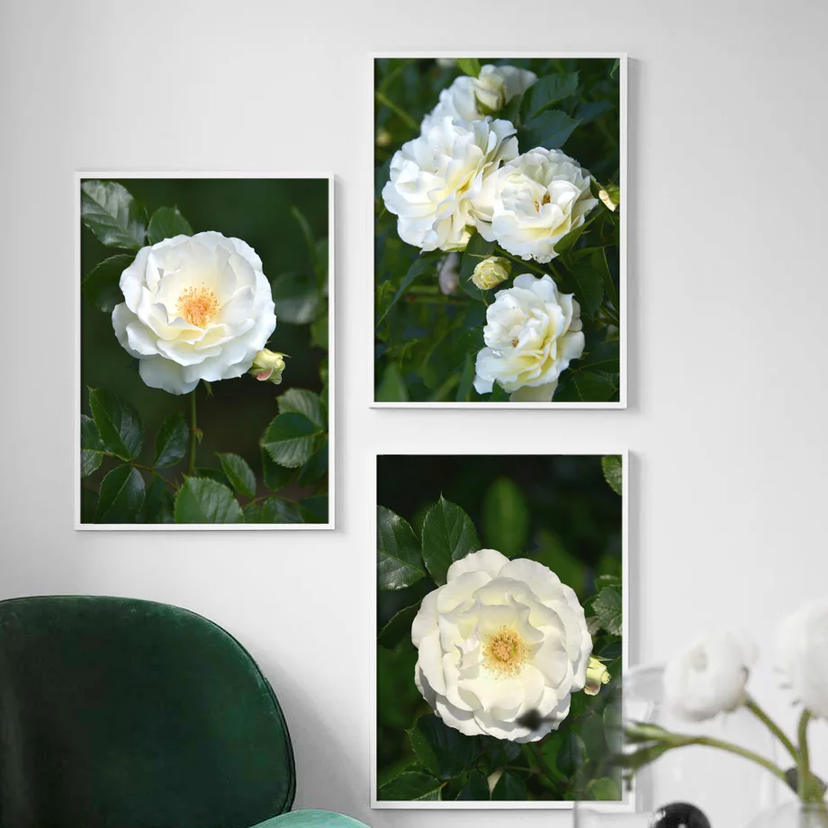Настенная картина с изображением белых роз зеленых листьев постеры и принты на