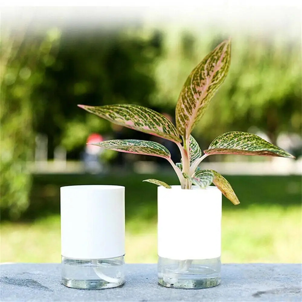 Новый набора круглых прозрачных ленточек двухслойные цветочные горшки ящик для