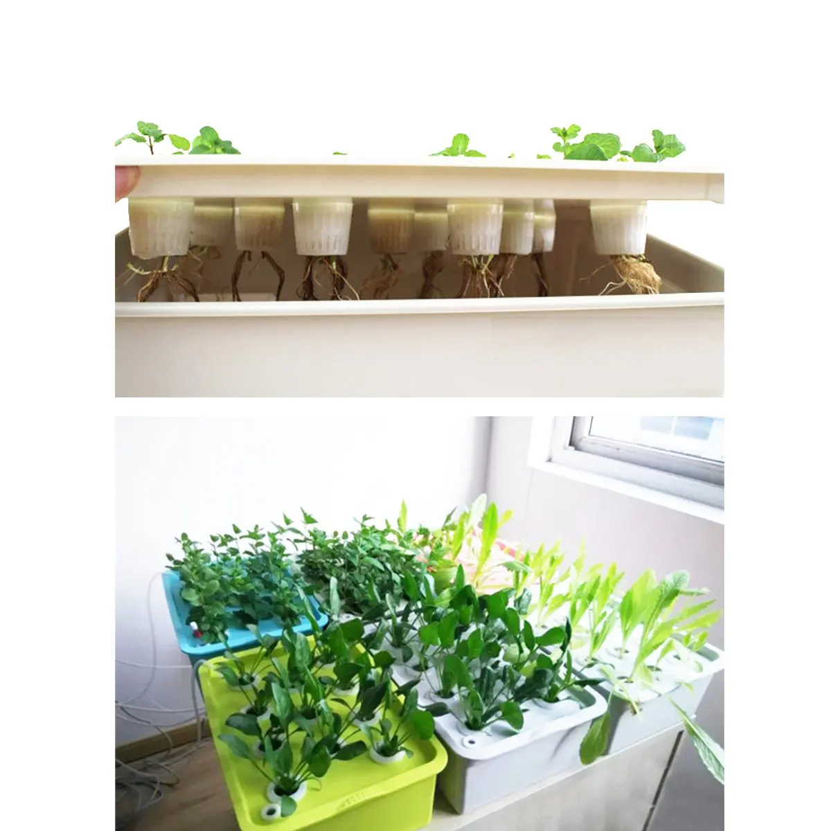 Набор для выращивания растений с 9 отверстиями 220 В|Детские горшки| |