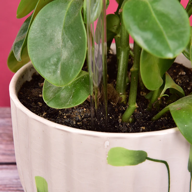 Protable Glass Plant Flowers Water Feeder Self Watering Bird Design Waterer 6 Types Decor Cans | Дом и сад