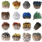 ФазанкурицаиндейкаПерья павлина своими руками шлейф ручной работы 3-10 см украшение Ловец снов перо