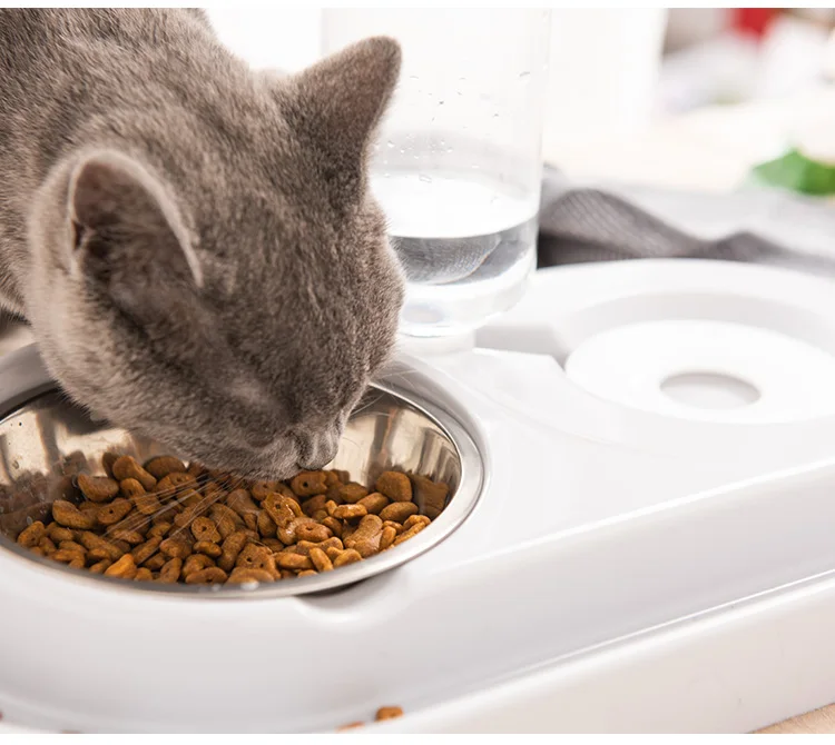 Dog Drinking Water Machine Automatic Dog Bowl Cat Bowl Double Bowl Pet Feeder Teddy Water Drinker Cat Drinking Machine