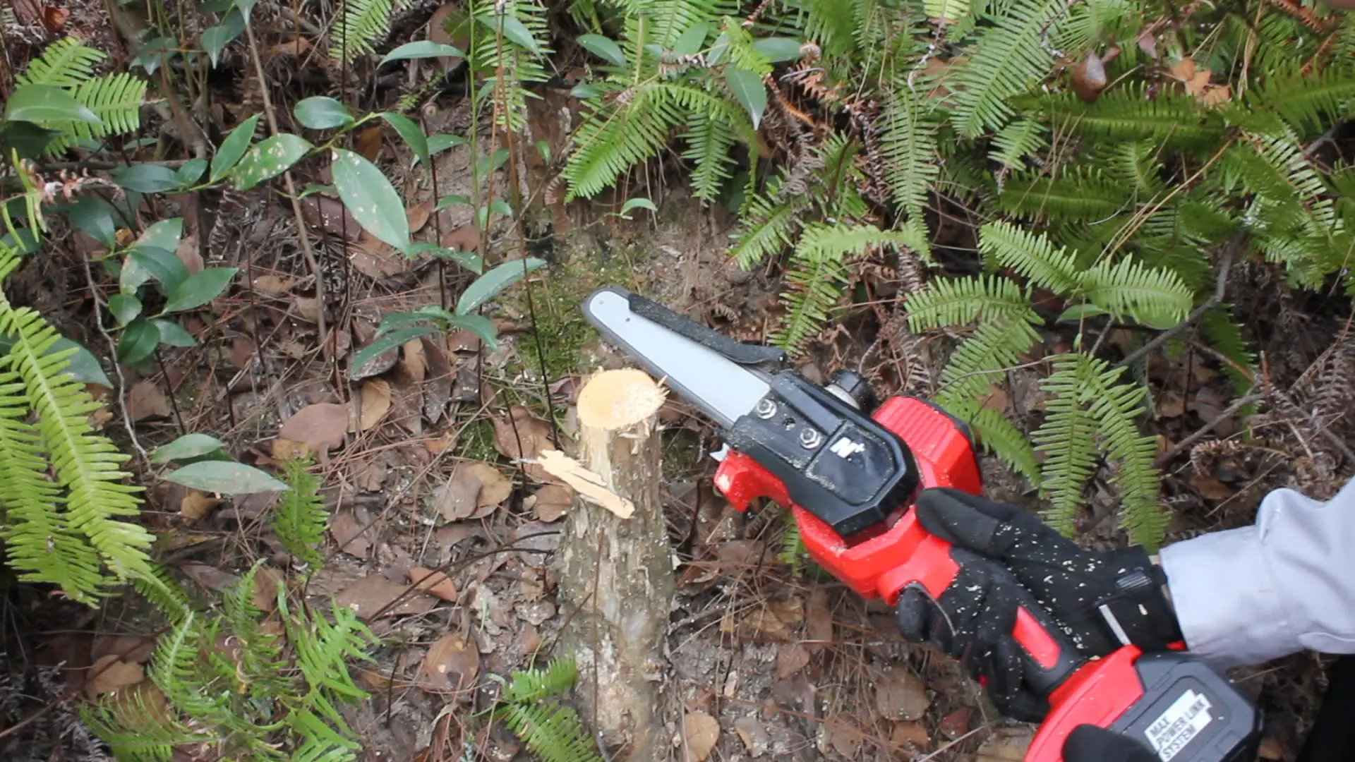 

Nplus CE certification new energy Mini Chain saw battery 8-Inch Cordless chain saw electric