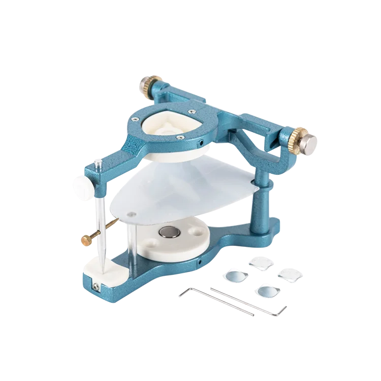 

Alloy Big Articulators Adjustable Denture Magnetic Anatomic Articulator Dentistry Laboratory Equipment Dental Lab Product Tool