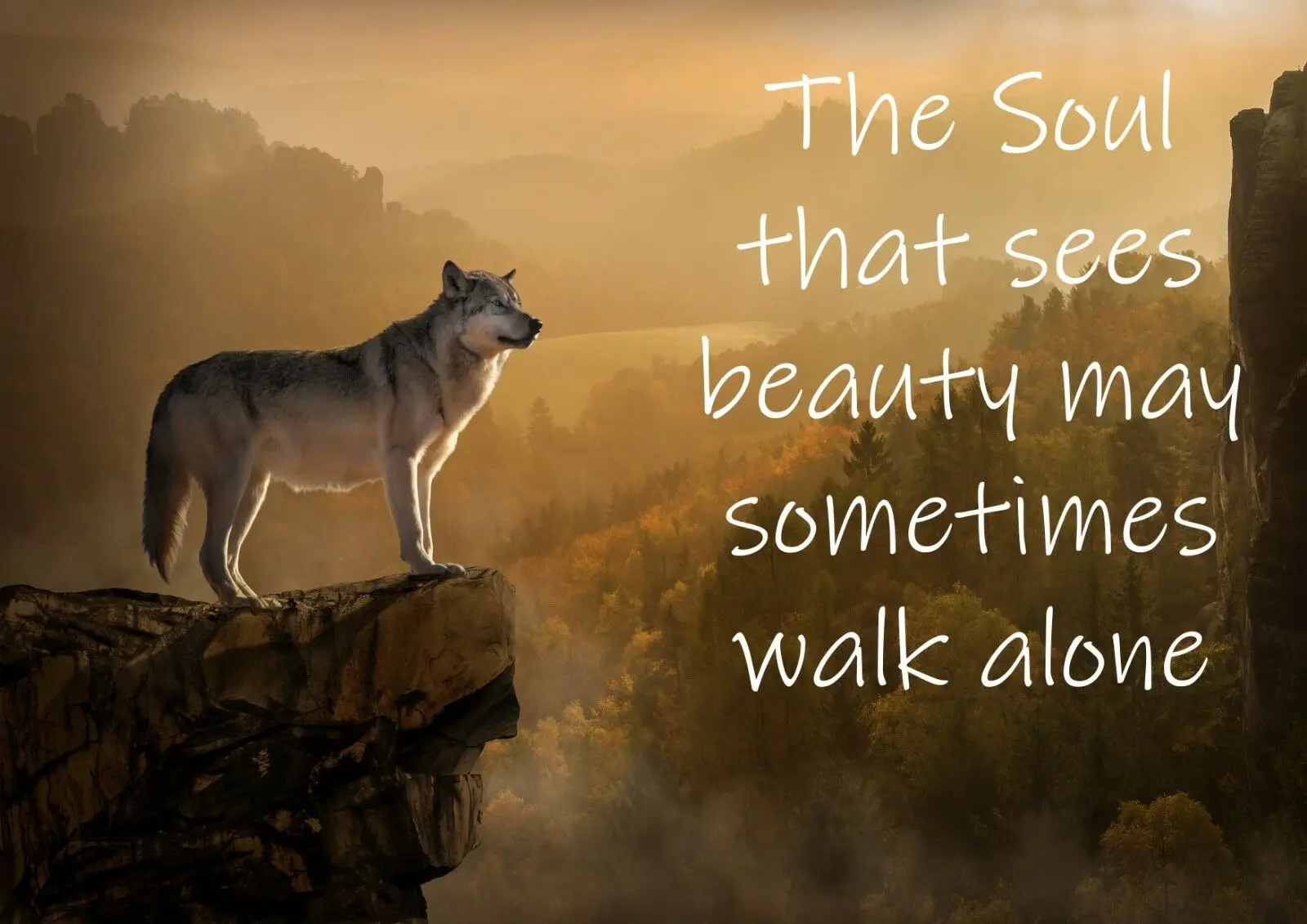 Шелковый постер с изображением диких волков и гор 24x36 дюймов | Дом сад