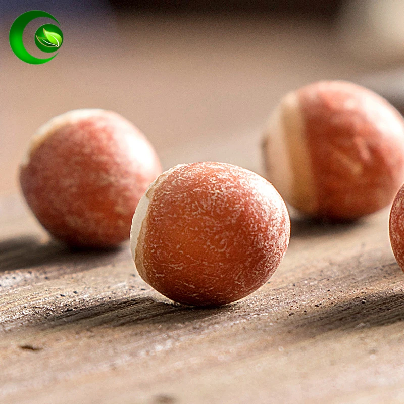 

Gorgon Fruit;Semen Euryales,Gorg ,Gon Fruit ,Euryales Semen,Qian Shi,Ji Tou Mi Anneslea spinosa Andrews Euryale indica Planch