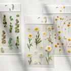 Натуральная Маргаритка наклейки в форме листьев клевера папоротник прозрачный ПЭТ материал цветы листья растения наклейки для скрапбукинга пуля журнал деко