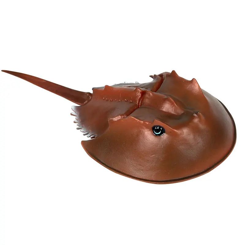 

Children simulation solid marine animal world model Chinese horseshoe crab horseshoe crab American horseshoe crab model toy -