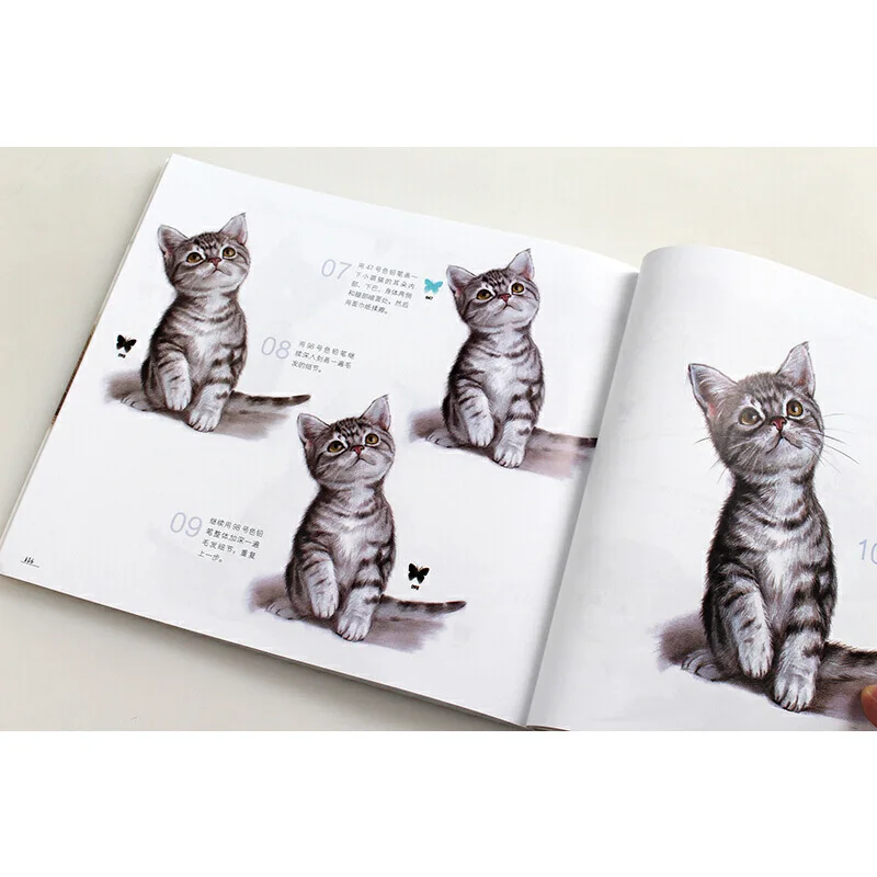 Цветной карандаш Реалистичная техника рисования книга животных еда цветной