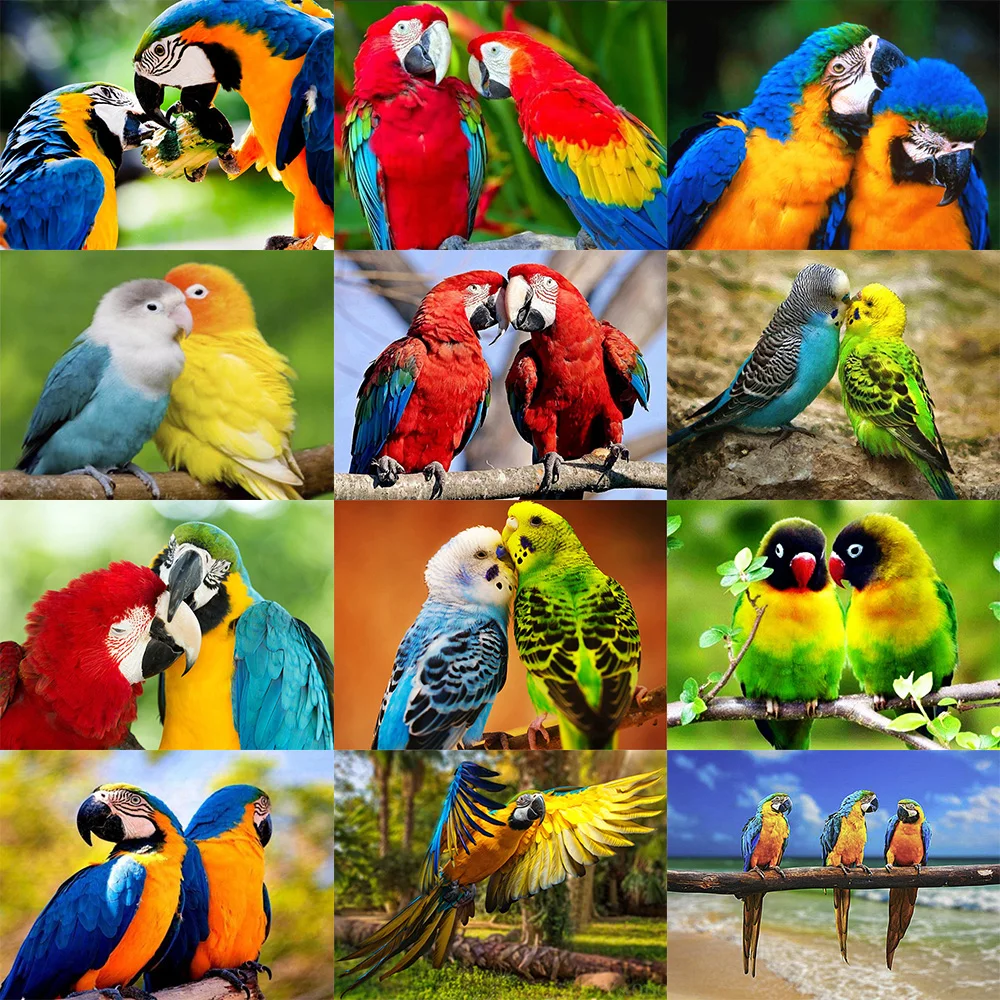 

Cross Stitch DIY 5D Diamond Parrot Painting Home Animal Decor Picture Embroidery Pattern Wall Artwork Sticker Full Square Drill