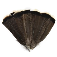 10pcslot natural eagle bird feather 25 30cm selected prime quality turkey feathers for decoration plumes handicraft accessories