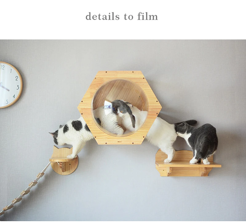 

Wall-mounted Cat climbing Frame Cat Tree Solid Wood Hexagon Space Capsule Cat Wall Springboard Kitten House Ladder Pet Furniture