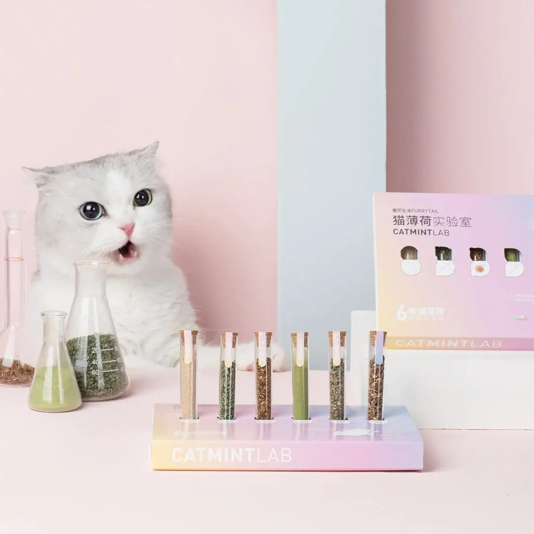 FURRYTAIL Cat Mint Lab домашние животные кошачья зависимость 6 вкусов натуральная мята
