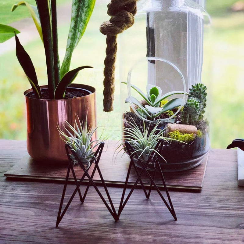 

4Pcs Air Plant Stand Flower Pots Are Suitable for On-Site Air Plant Stand and Used to Display Indoor Plants.