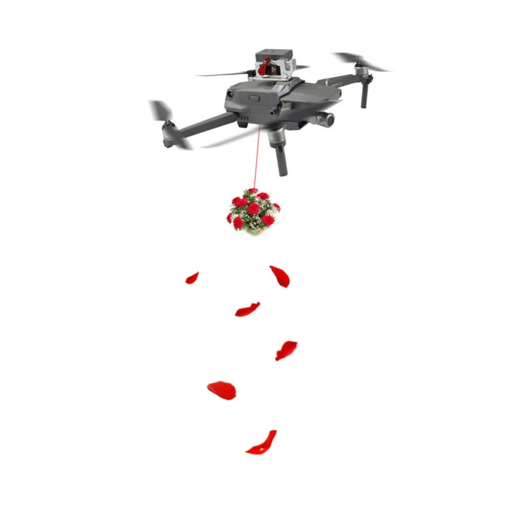 Подарочное кольцо для спасательной рыбалки DJI Mavic 2 Pro Zoom Drone|Силовая установка| |