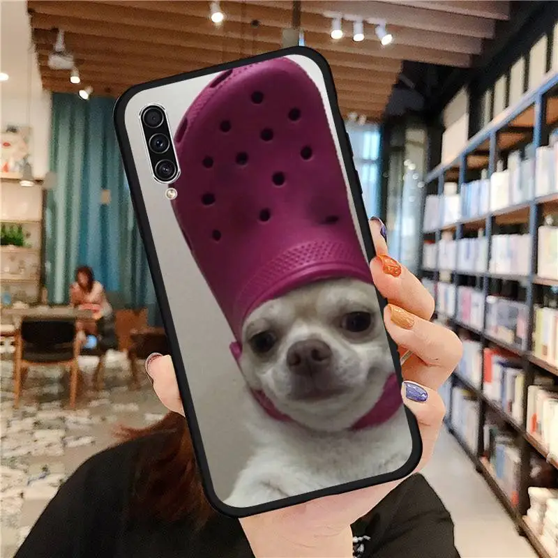 

Chihuahua dog cute animal soft tpu shell Phone Case For Samsung galaxy A S note 10 7 8 9 20 30 31 40 50 51 70 71 21 s ultra plus