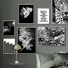 Приемопередатчик Гепард Гортензия девушка черно-белая Художественная Картина на холсте скандинавские постеры и принты настенные картины для декора гостиной