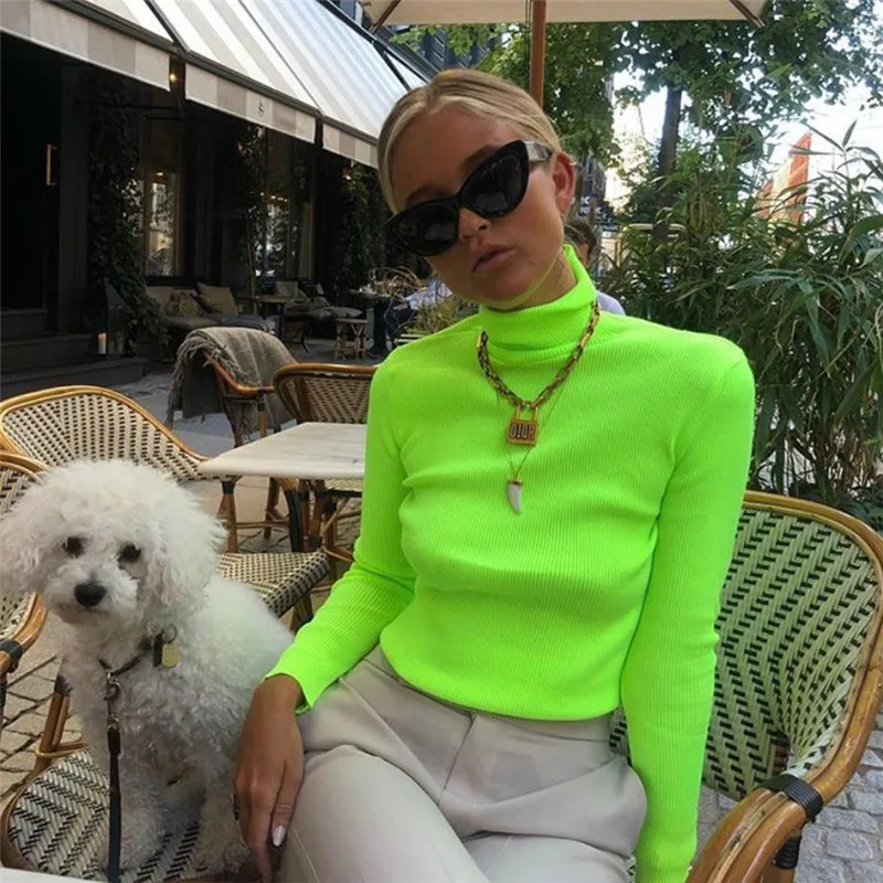 Turtle Neck Women Sweater Pullover Basic Knitted Cotton Tops Long Sleeve Jumper Autumn Pullovers Shine Colour | Женская одежда