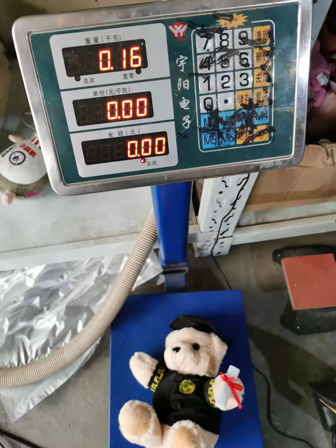 

Graduation Doll, Doctor, Bear, Bear,Graduate, Bear, University Graduation Gift