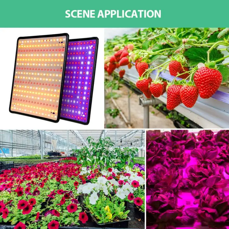 

LED Grow Light 50W Waterproof Phytolamp Greenhouse Hydroponic Plant Growth Lighting Quantum Board Plant Light Indoor Herbs Light
