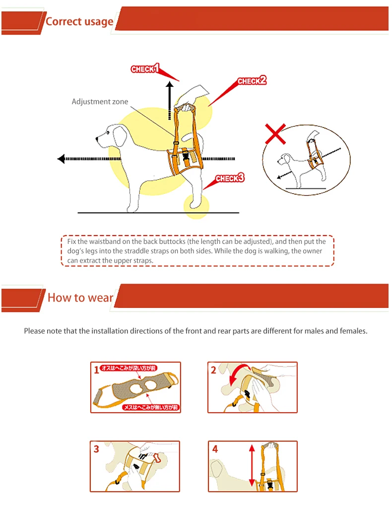 Acessórios para cães