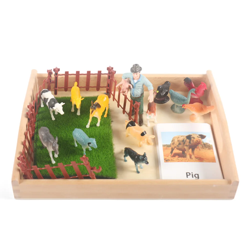 Montessori Materials Wooden Tuff Tray Sensory Play Practical Life Montessori Teaching Aids Flash Cards Animals Matching H2766F