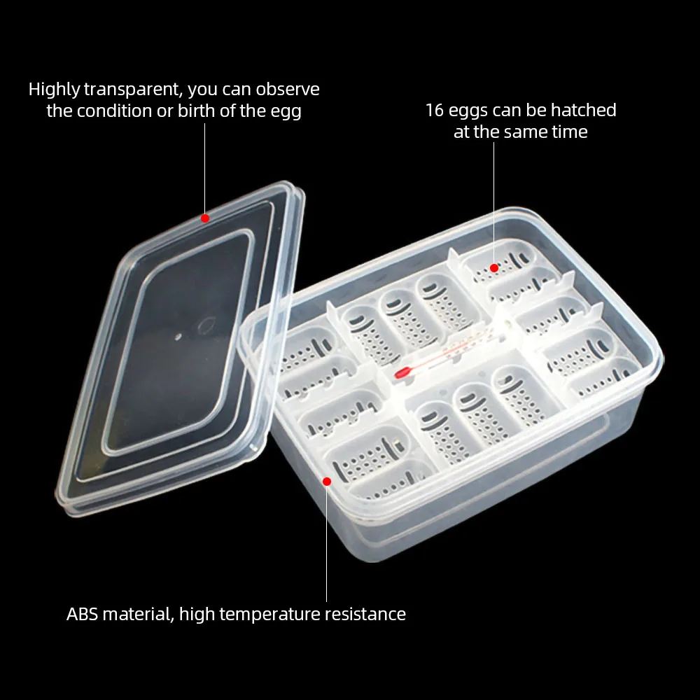 Reptile Incubation Box Suitable For Hatching Snake Lizards Reptiles Egg Breeding with Thermometer | Дом и сад