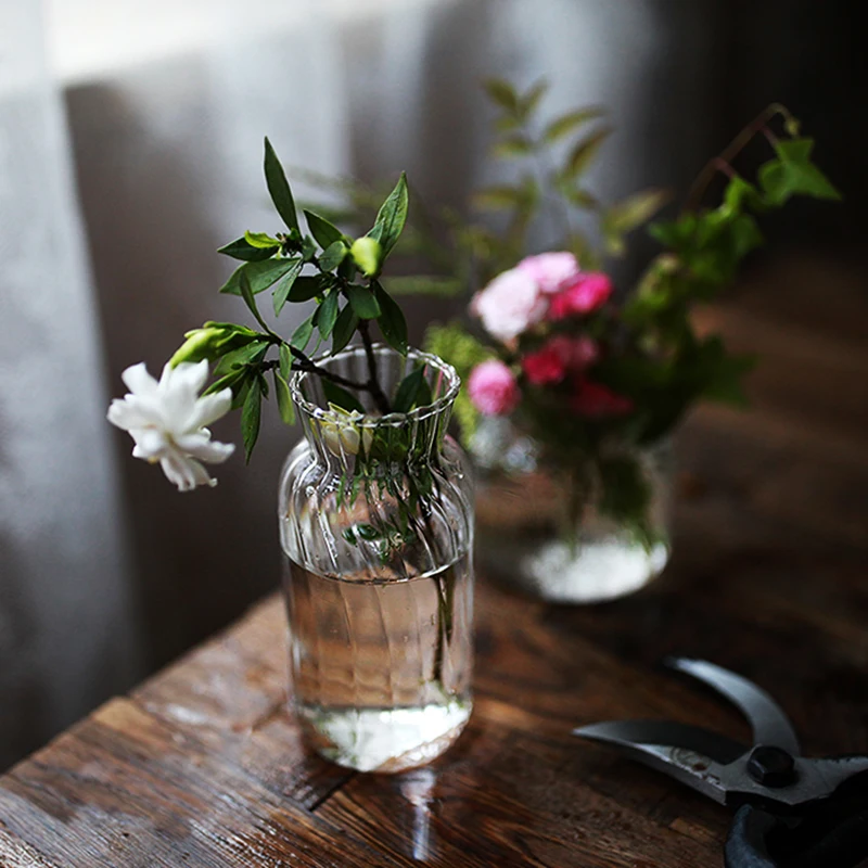 

Table Vase Bottle Terrarium Container Flower Decor Glass Vase Plant Wall Transparents Clear Nordic Vase