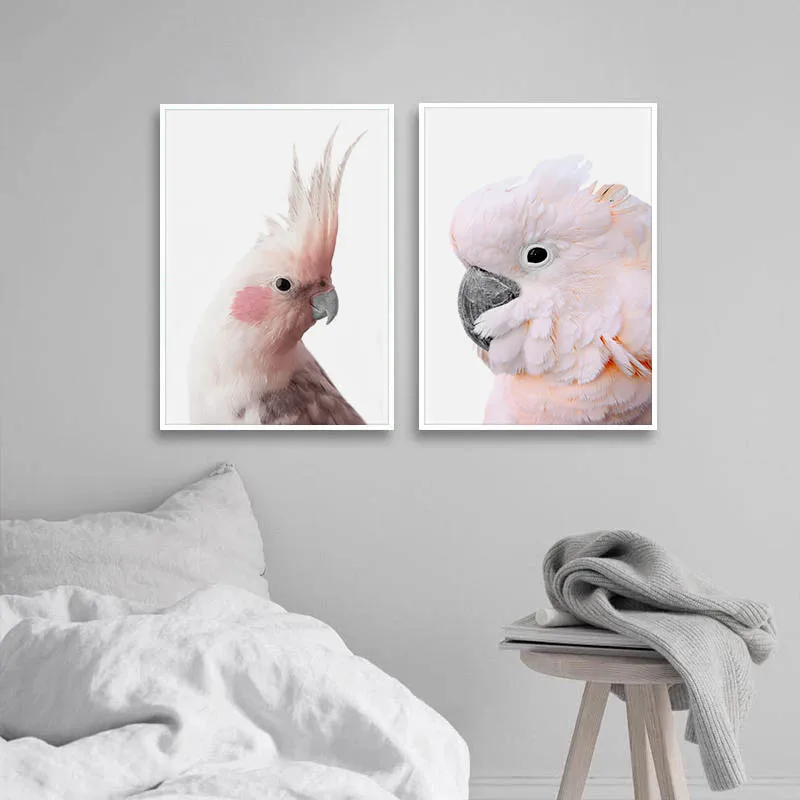 Холщовый постер с изображением розового попугая и птиц Настенная картина