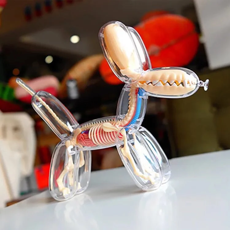 Jason Freeny 26parts 4d Big Balloon Dog Transparent Skeleton Model Perspective Bone Anatomy Puzzle Assembling Veterinary Toy |