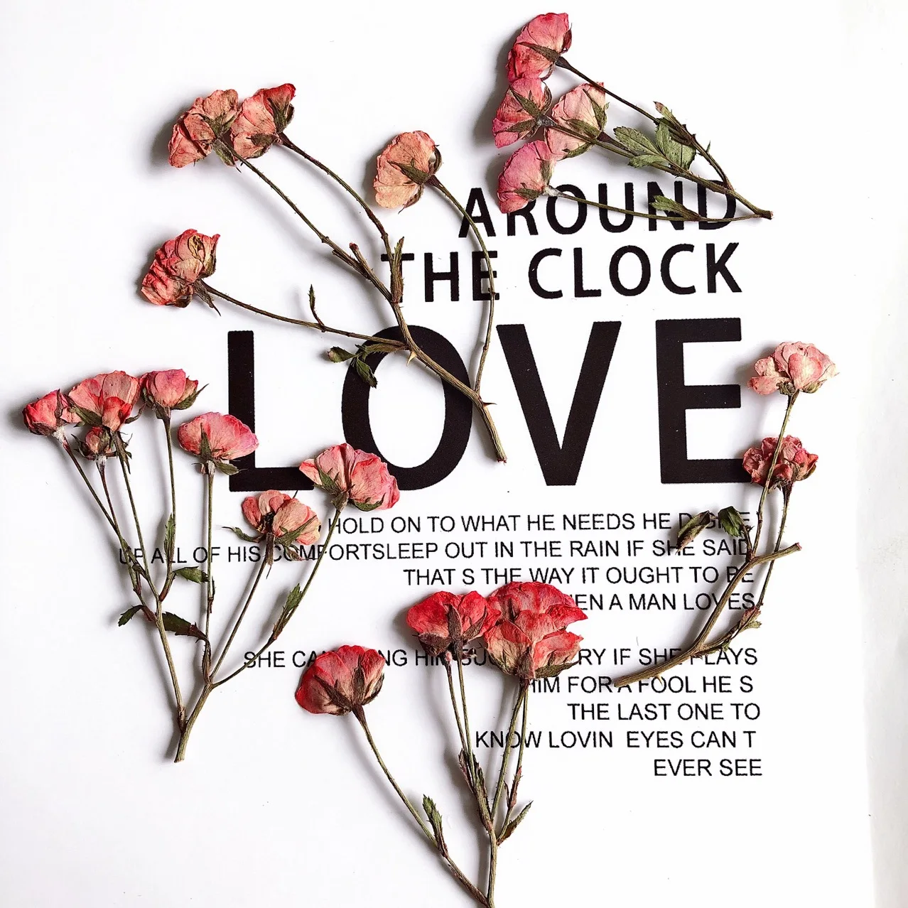 12 штук в партии 4-6 см природа прессованный высушенный розовых роз с цветами