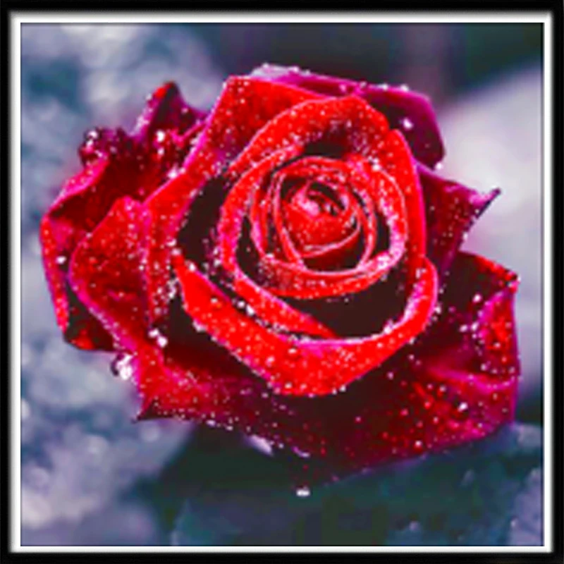 

Стразы, картина 5D, алмазная живопись, красная роза, вышивка крестиком, DIY розы Бриллиантовая мозаика, картина для украшения стен гостиной