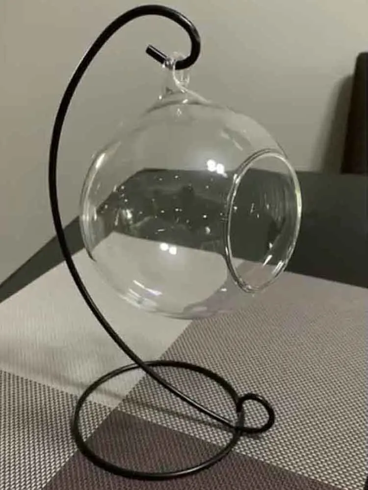 Креативная прозрачная стеклянная ваза шар микро пейзаж подвесной Террариум для