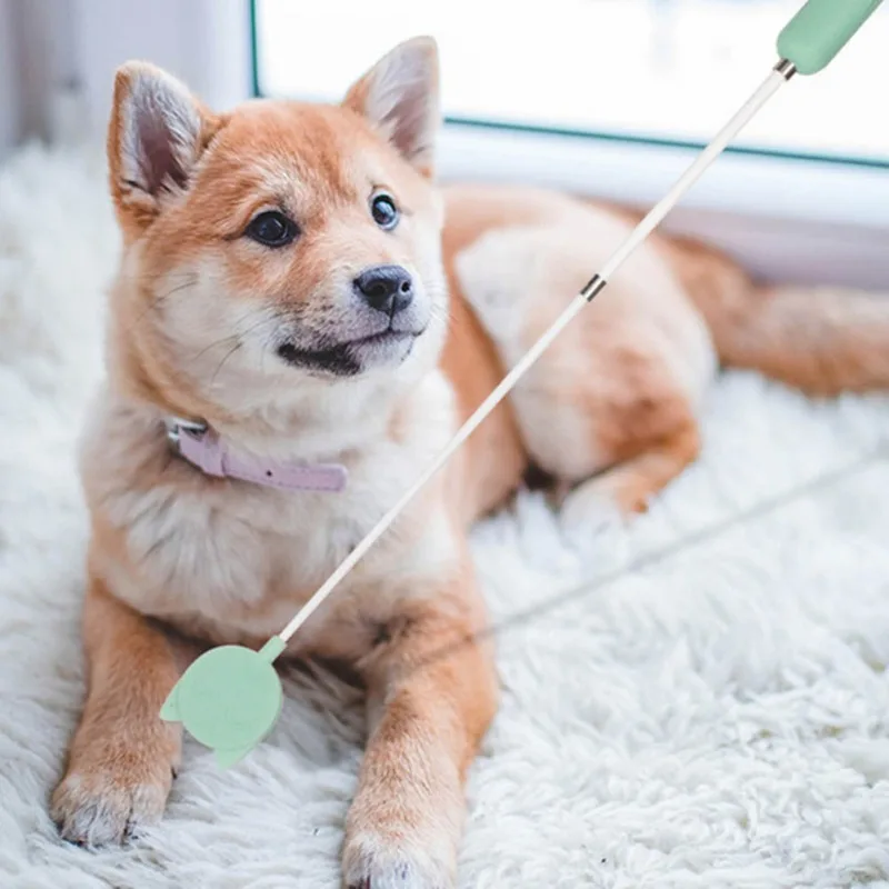 

1pc Pet Accessories Funny Usable Dog Toys Interactive Training Stick Colors Green Pink Dropship New high quality and convenient
