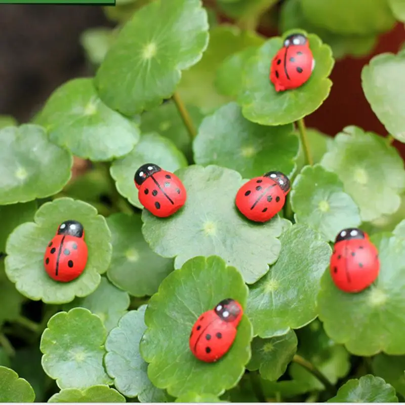 

10 pcs New Arrival Miniature Decorations Coccinella Septempunctata Resin Crafts DIY Little Garden Decor