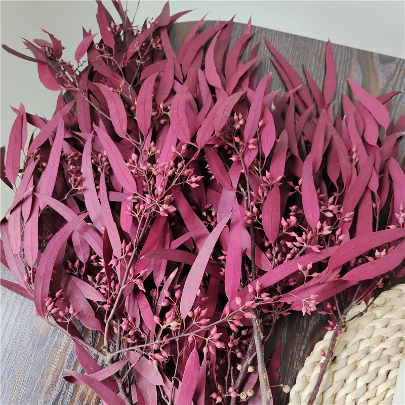 

140g/50-60cm Nature Preserved Eucalyptus Millet Leaf,DIY Eternell Flower Floral Plant, Wedding Use Home Decoration Dry Flower