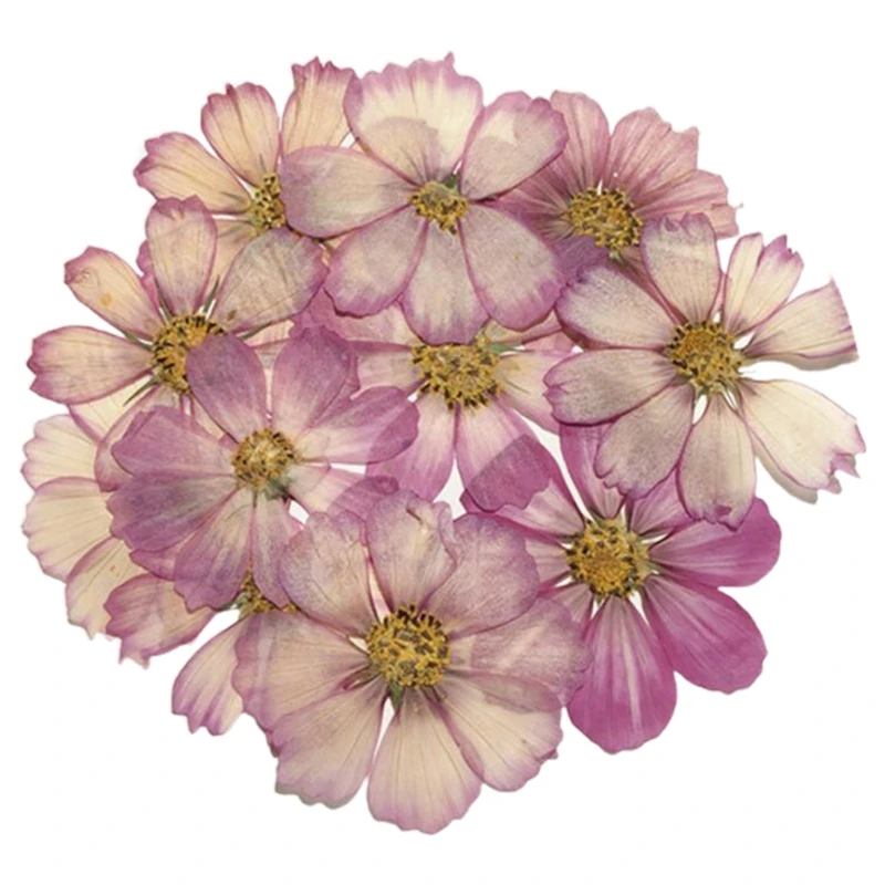 

120 Pcs Dried Flowers Coreopsis UV Resin Decorative Natural Flower Stickers 3D Dry Beauty Decal Epoxy Mold DIY Filling M7DD