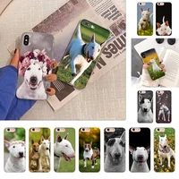 bullterrier bull terrier dog phone case for iphone 13 x xs max 6 6s 7 7plus 8 8plus 5 5s se 2020 xr 12 11 pro max fundas capa