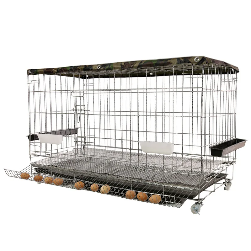 

Двухслойные куриные клетки для дома с автоматической очисткой навоза и автоматической укладкой куриных клетки