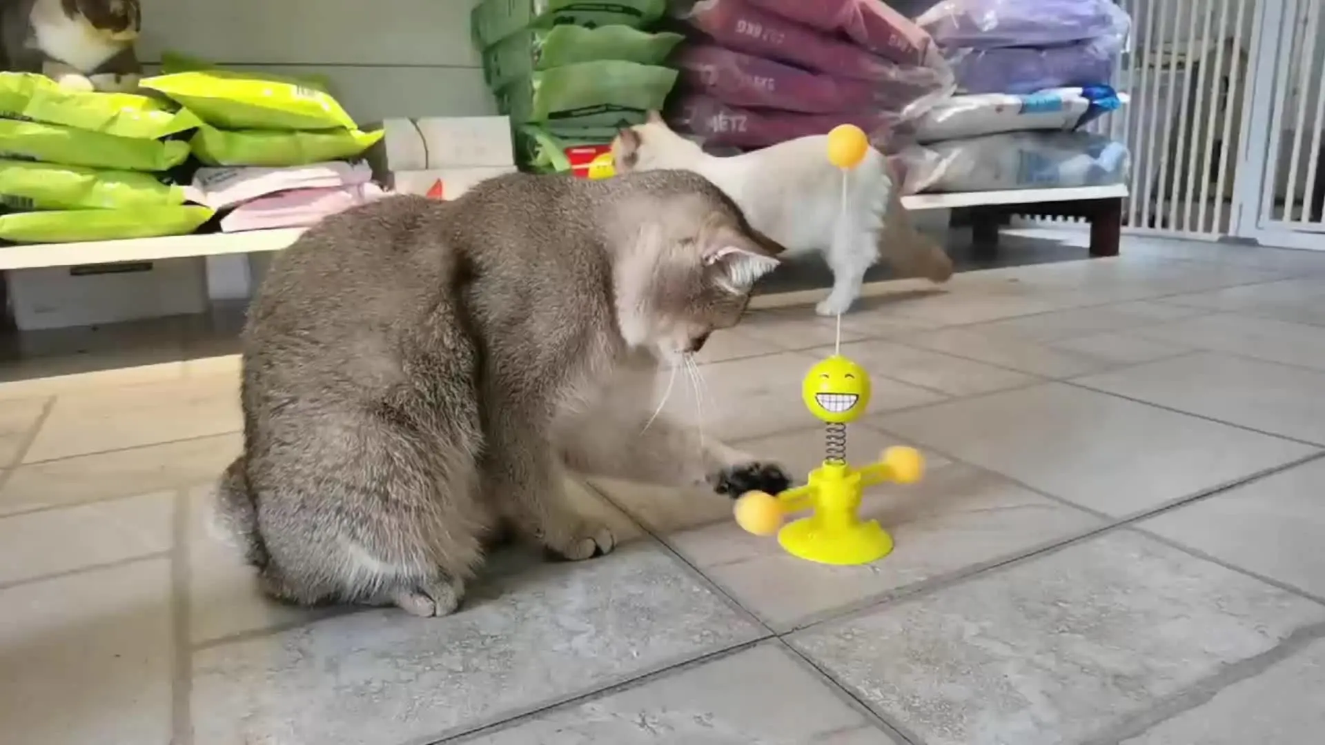 MIDG кошка игрушка спин смайлик с перьями и мяч 2 Тип интерактивные материалы