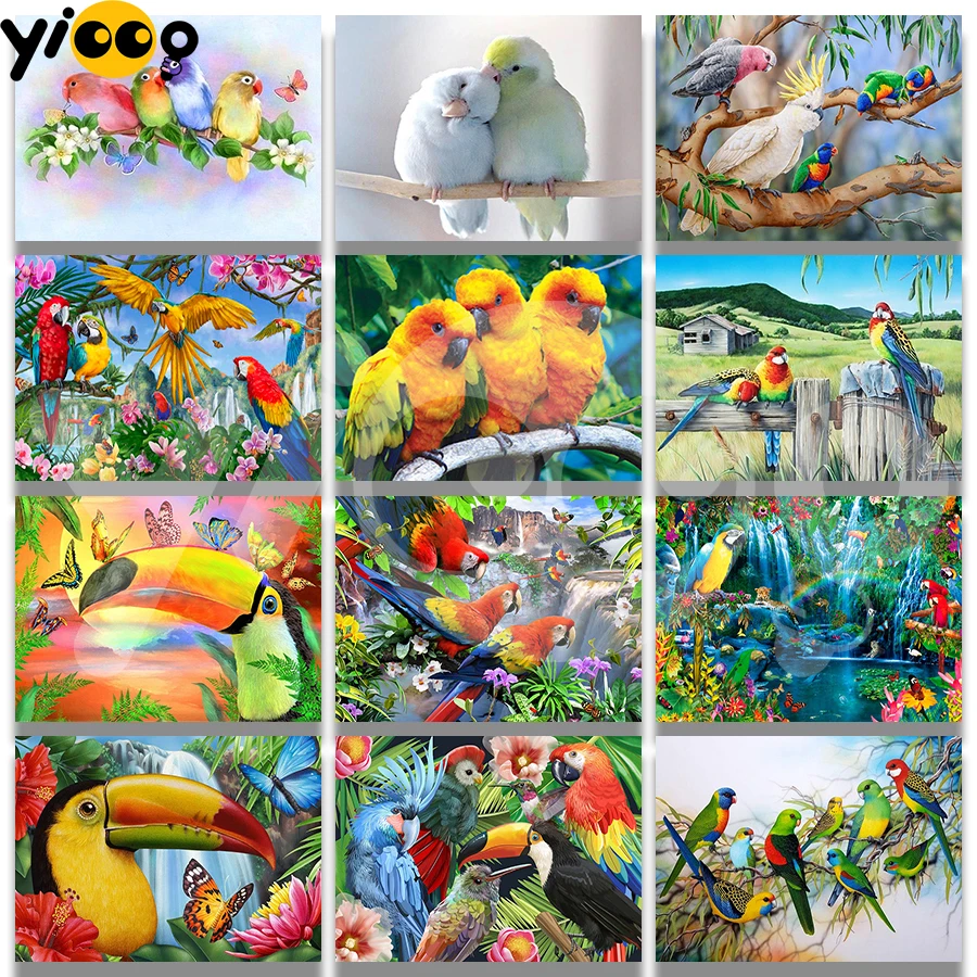 

Полная квадратная/круглая Алмазная вышивка попугаев и птиц 5D алмазная живопись вышивка крестиком Стразы мозаика домашний Декор подарок