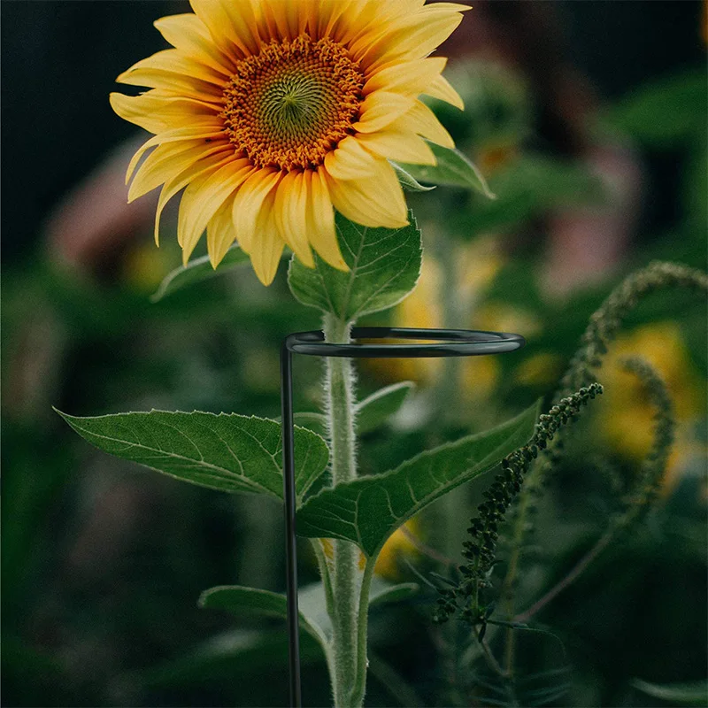 6 шт. опорные кольца для растений железная проволока одиночный стержень опорное