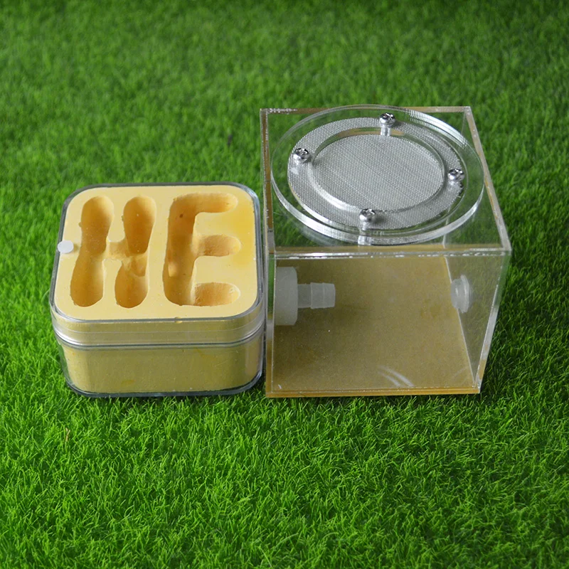 Мини-штукатурка сделай сам Муравьиное гнездо питомец муравьиный замок