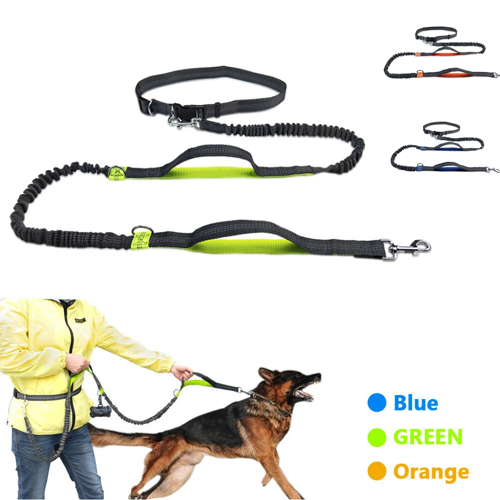 

Dog Leash Running Pet Traction Belt Adjustable Elastic Nylon Hands Free Durable Walking Jogging Practical Training Accessories