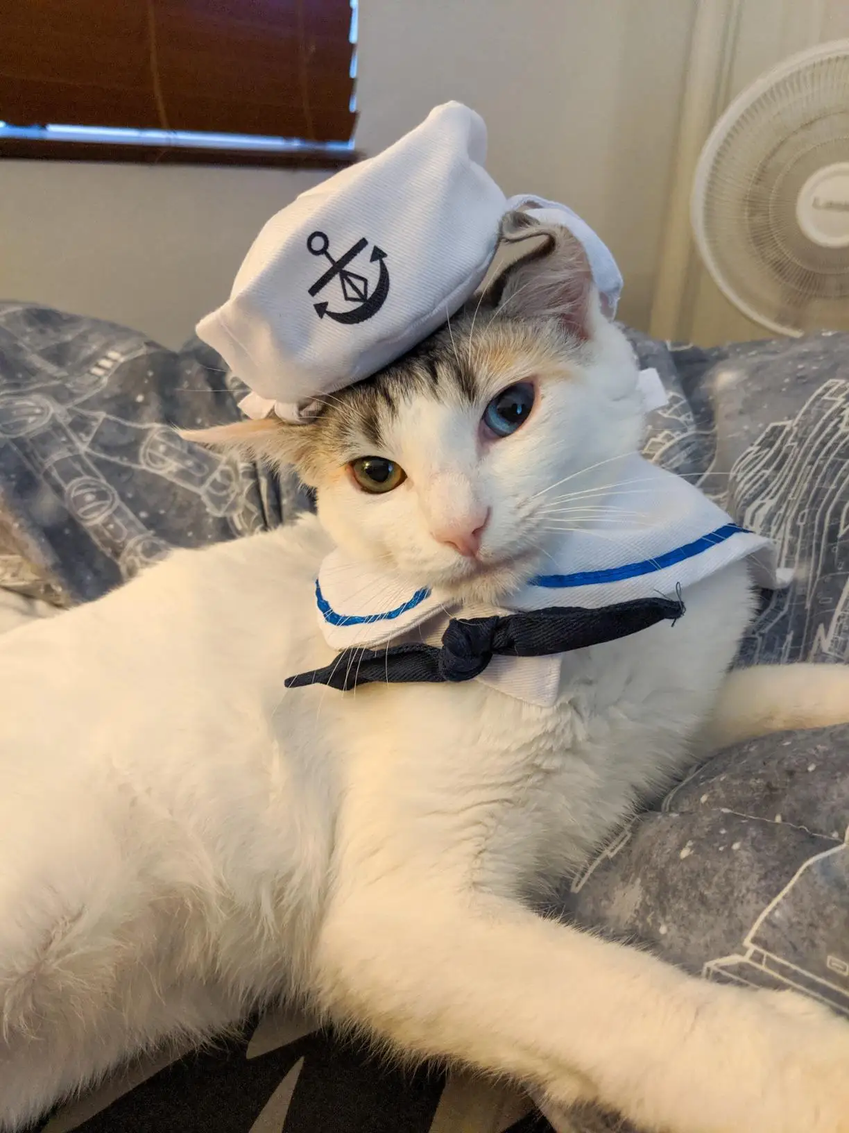 

New Pet Clothes Dog Cat Hat Navy Clothes Sailing Clothes Cloak Suit
