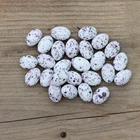 6 шт. искусственная миниатюрюра для сада с микро-сказочным рисунком, Фигурки игрушки, поделки, аксессуары для творчества, имитация птичьего гнезда, украшение модели яиц